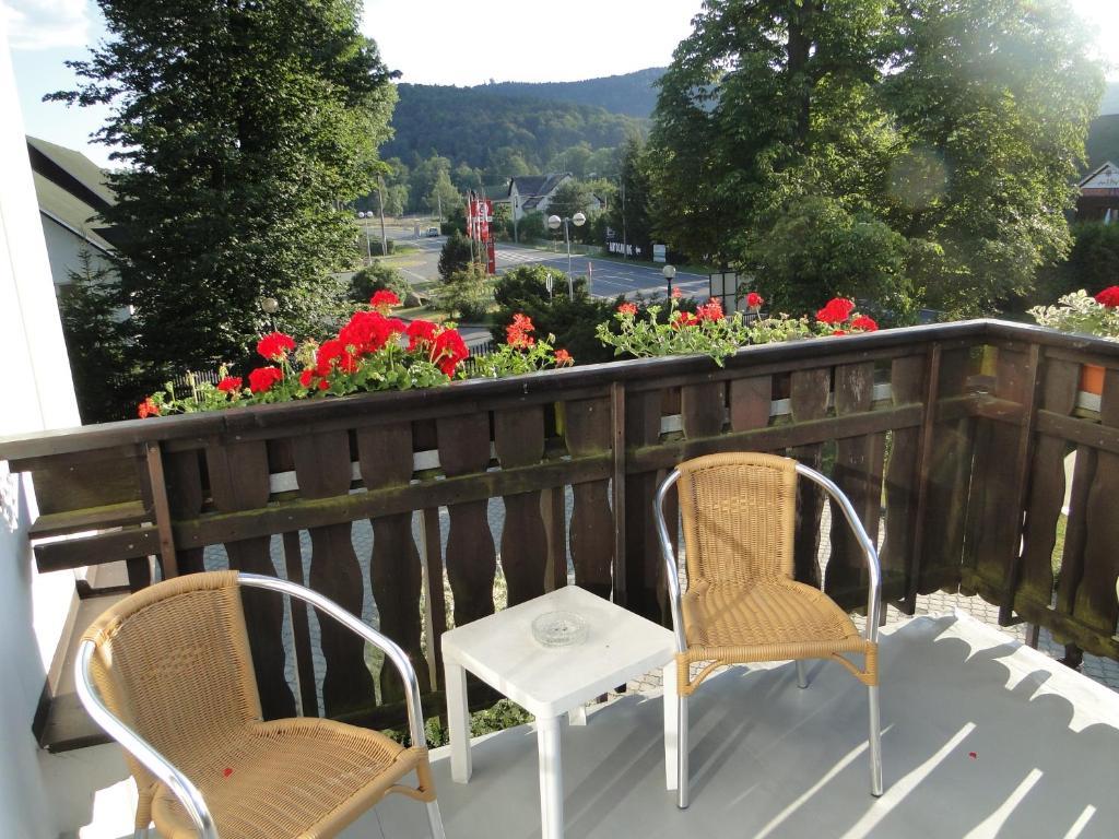 Villa Zerotin Penzion Bed & Breakfast Velke Losiny Bagian luar foto