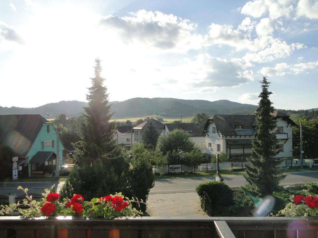 Villa Zerotin Penzion Bed & Breakfast Velke Losiny Bagian luar foto